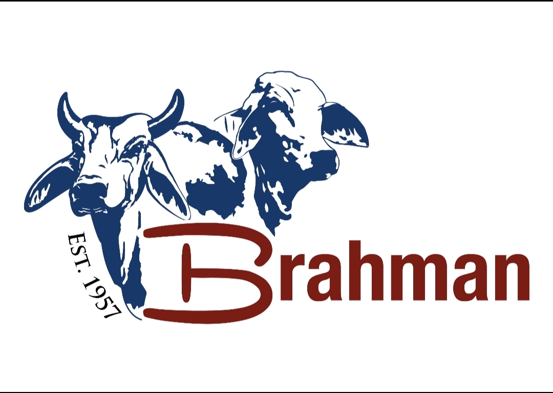 Brahman